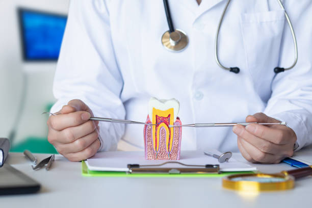 Best Emergency Dental Services for Seniors in Canterwood, WA